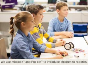 We use micro:bit and Pro-bot to introduce children to robotics.